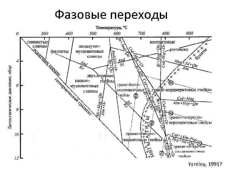 Процессы фазовых превращений. Фазовые переходы физика схема. Опорная схема фазовые переходы вещества. Фазовые переходы графики формулы.